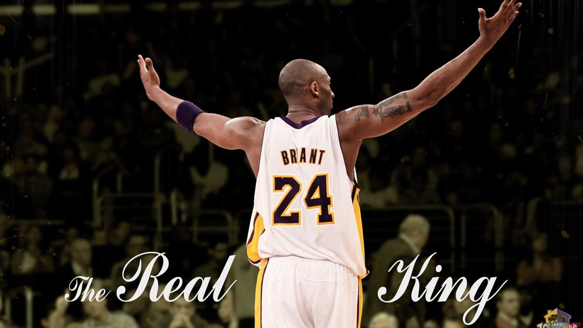 爱游戏体育（AYX）官方APP下载-体育场馆智能管理系统试点应用，效率显著提升，体育场馆智能化解决方案